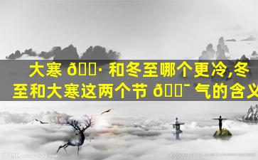 大寒 🌷 和冬至哪个更冷,冬至和大寒这两个节 🐯 气的含义